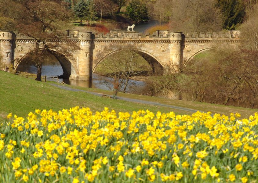 Alnwick History Society